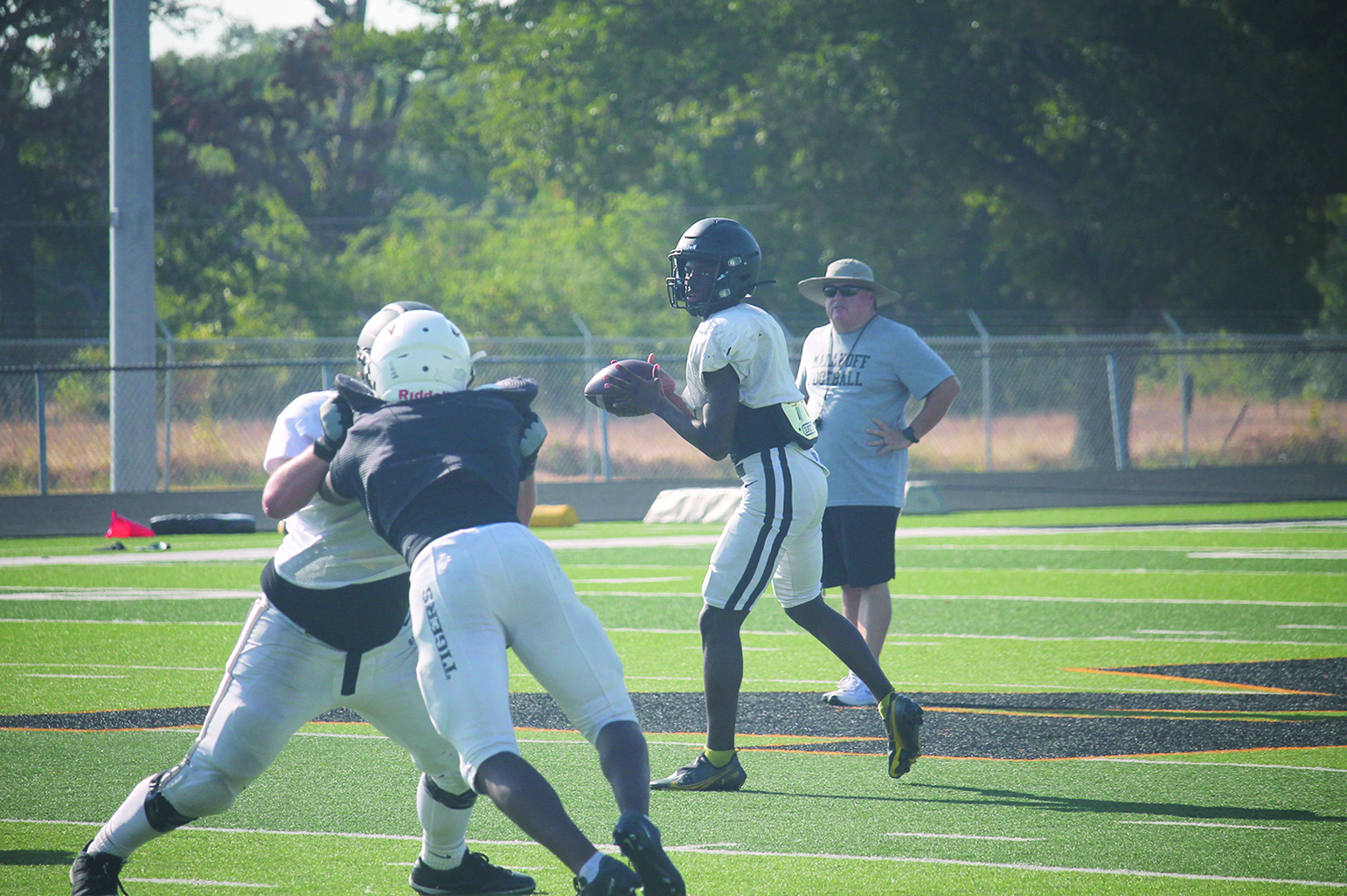 Malakoff Tigers Hogg