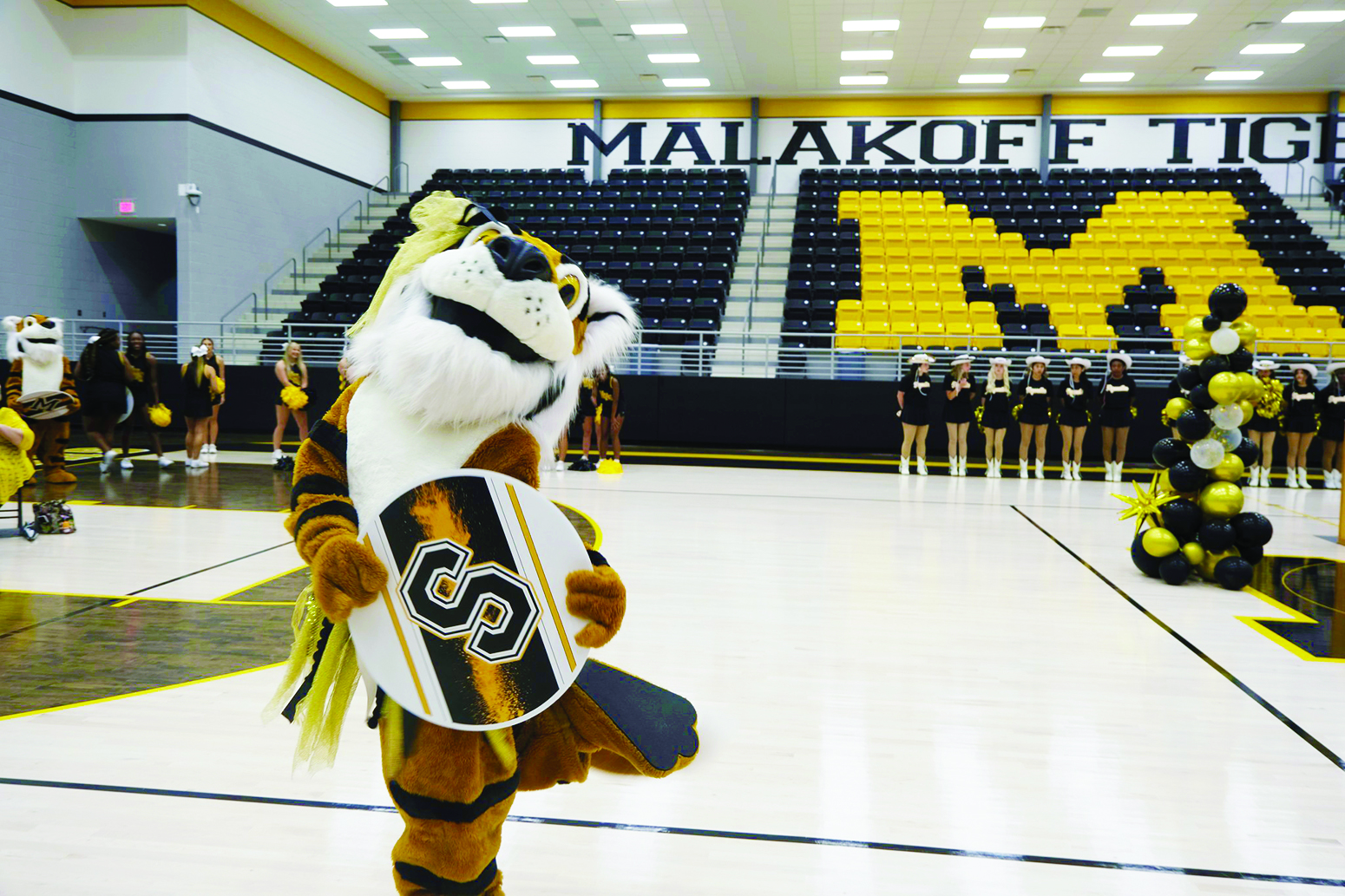 mascot