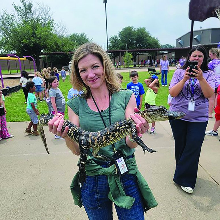alligator