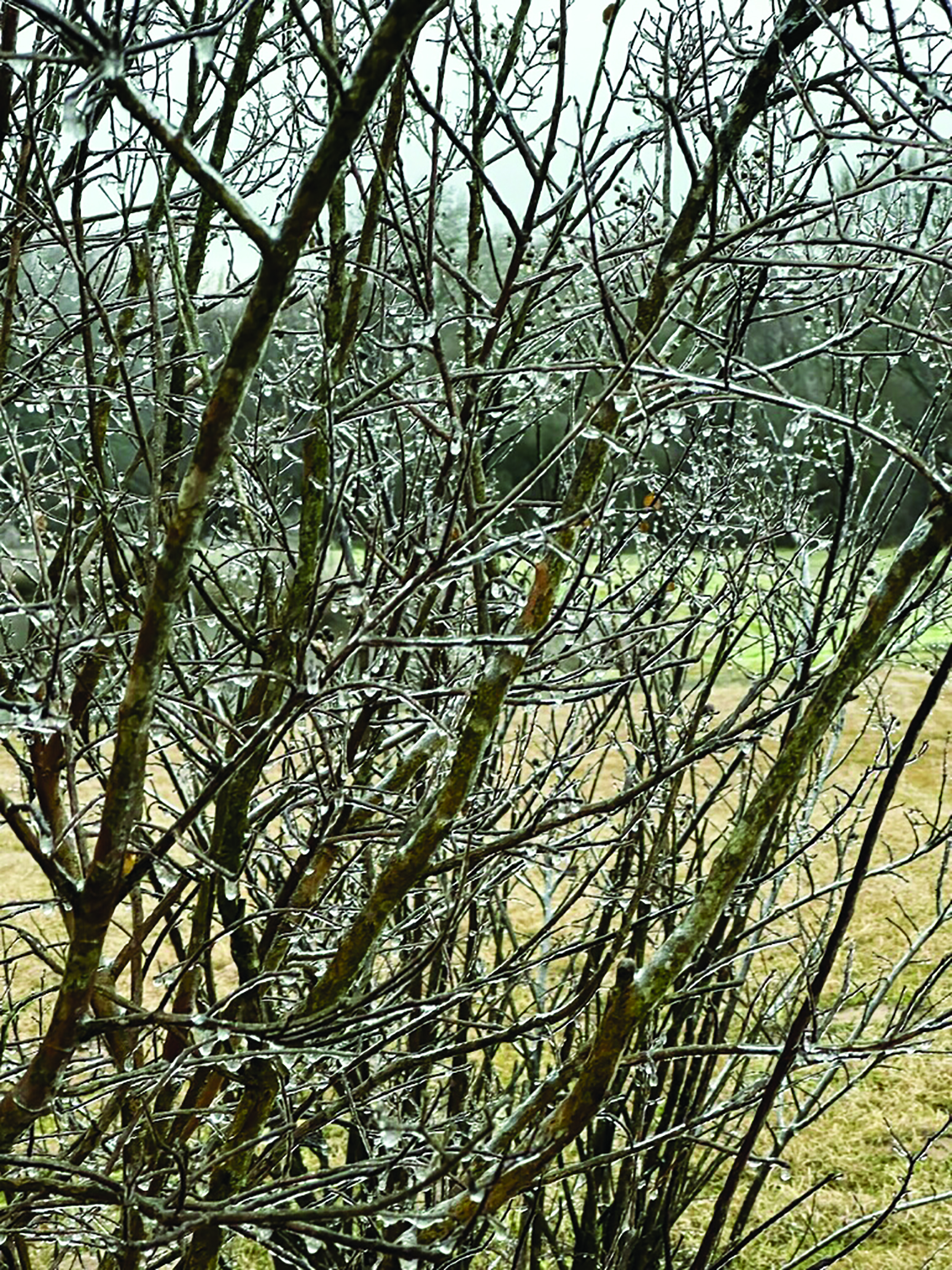 ice