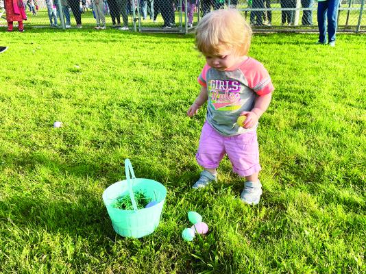 egg hunt
