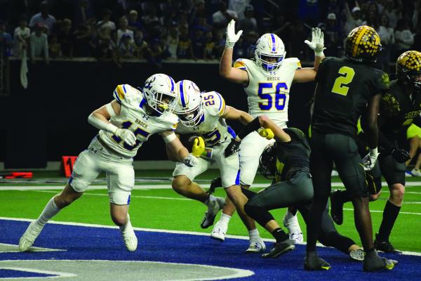 Malakoff Tigers