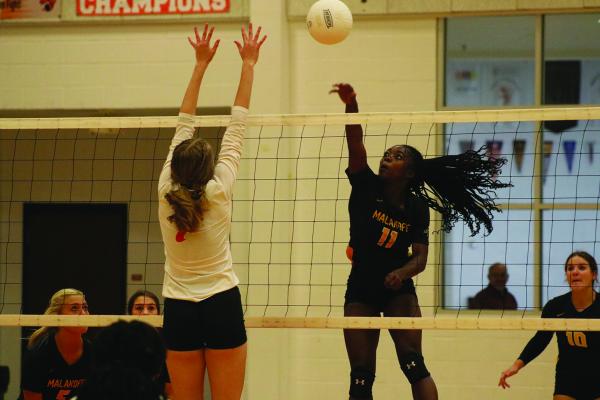 Malakoff Volleyball