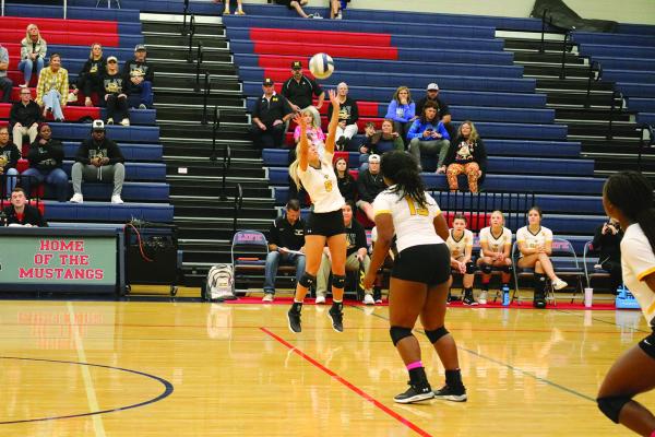 Malakoff volleyball