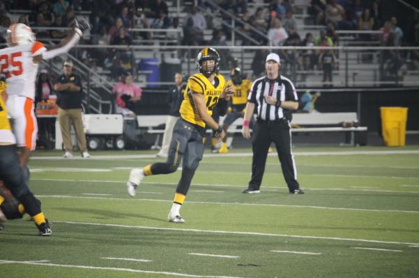 Malakoff Tigers