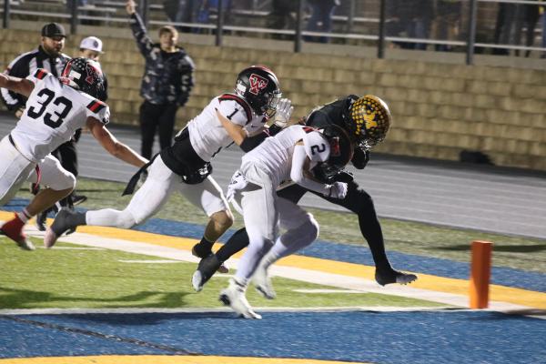 Malakoff Tigers
