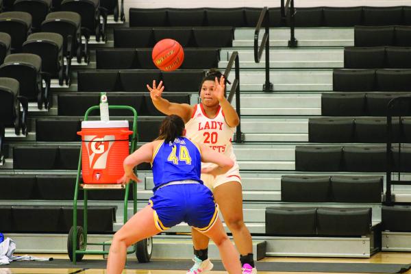 Lady Yellowjackets