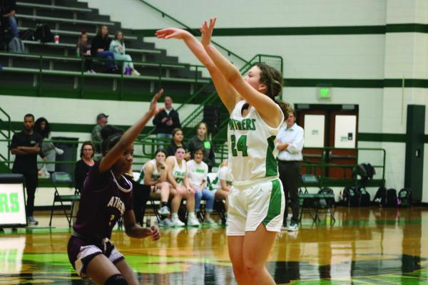 Panthers basketball