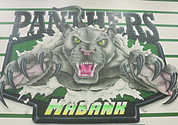 Lady Panthers