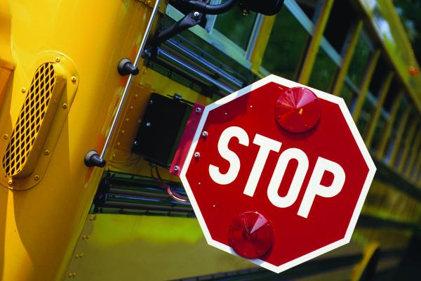 bus