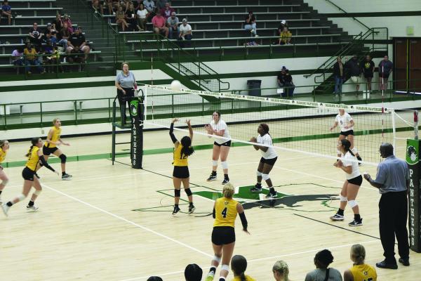 volleyball
